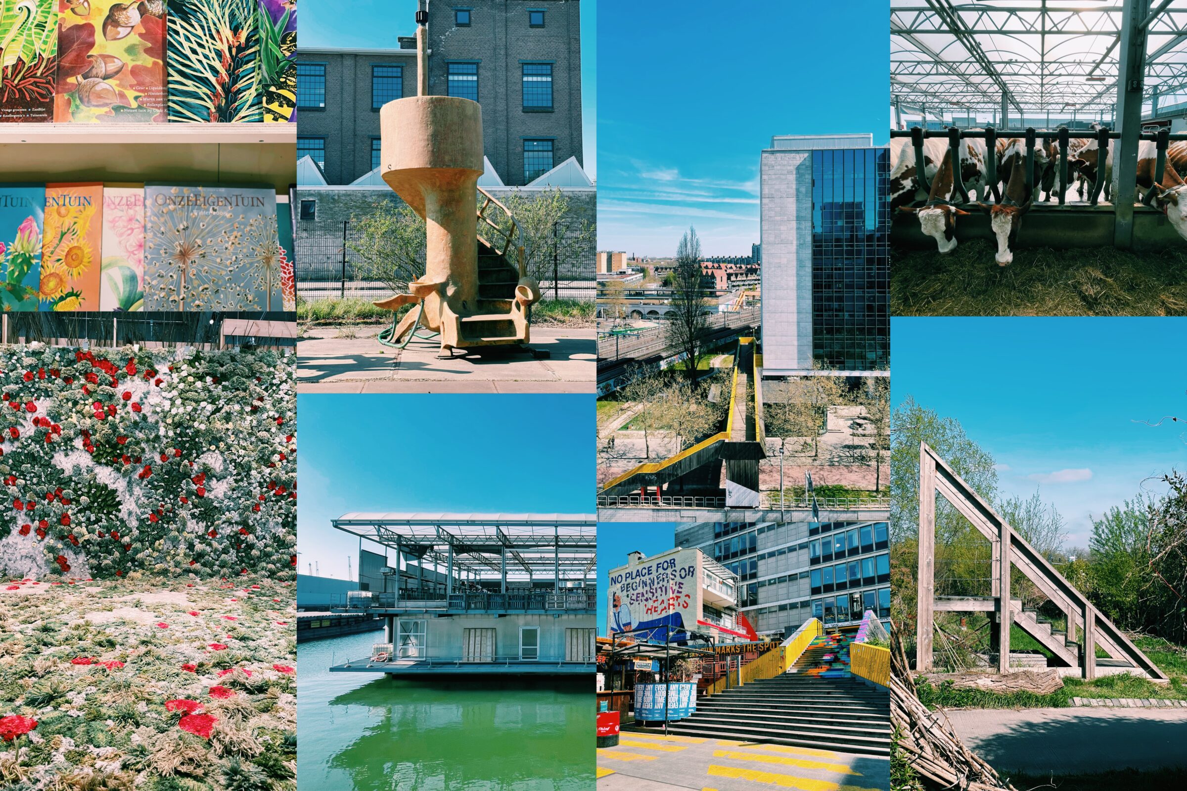 Research & Erasmus Mobility in Rotterdam