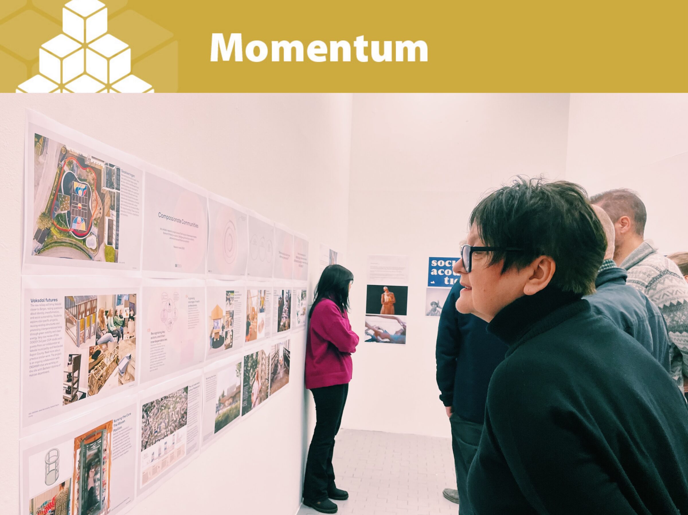 Awarded with Momentum program UiB 2025